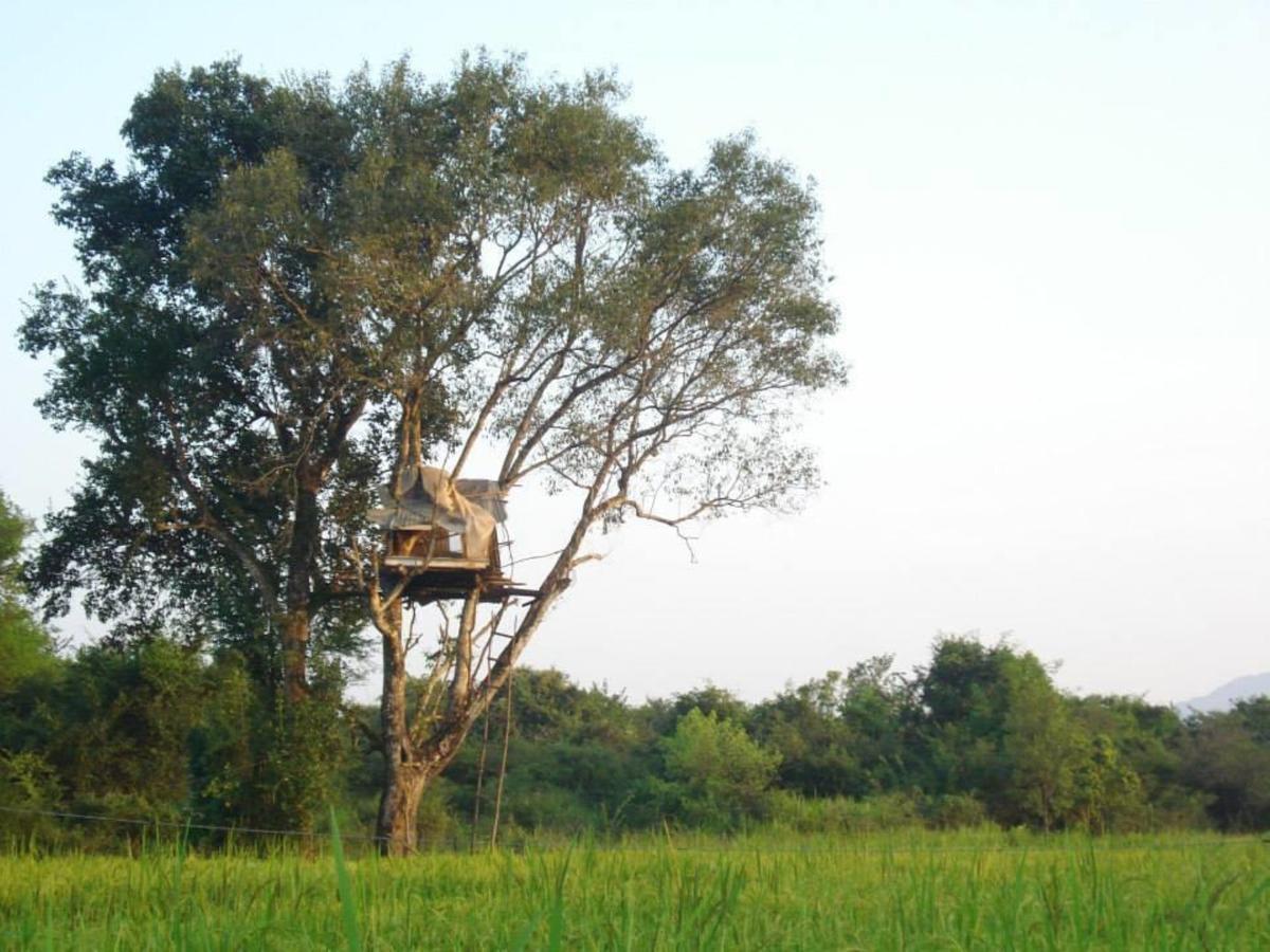 Castle Rock Sigiriya Ξενοδοχείο Kibissa Εξωτερικό φωτογραφία