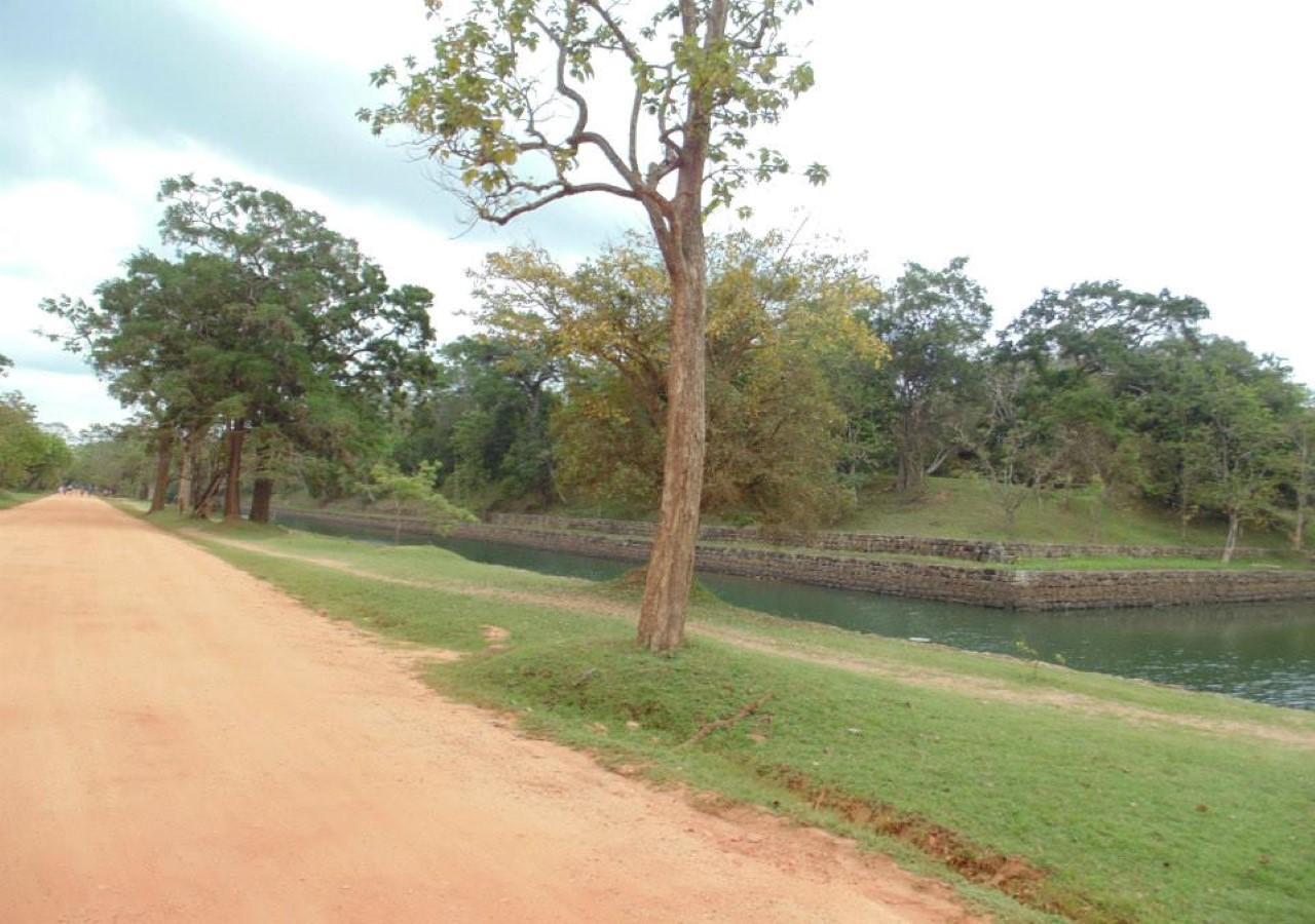 Castle Rock Sigiriya Ξενοδοχείο Kibissa Εξωτερικό φωτογραφία