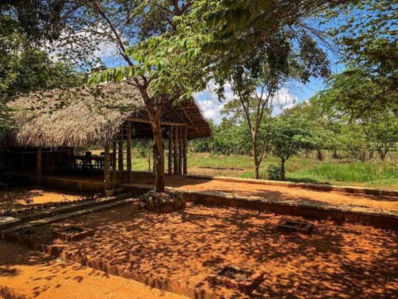 Castle Rock Sigiriya Ξενοδοχείο Kibissa Εξωτερικό φωτογραφία